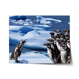 Plakát Tučňáci: 60x40 cm Plakát Tučňáci: 60x40 cm