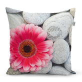 Polštář Gerbera na kamenech: 40x40 cm