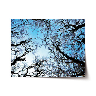 Plakát Holé větve: 120x80 cm Plakát Holé větve: 120x80 cm