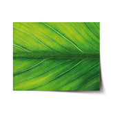 Plakát List 2: 60x40 cm