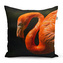 Polštář Plameňák: 60x60 cm