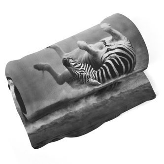 Deka Válející se zebra: 150x120 cm