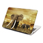 Samolepka na notebook Slon Africký: 29x20 cm