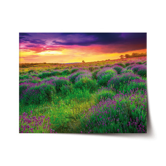Plakát Levandulové pole: 120x80 cm Plakát Levandulové pole: 120x80 cm