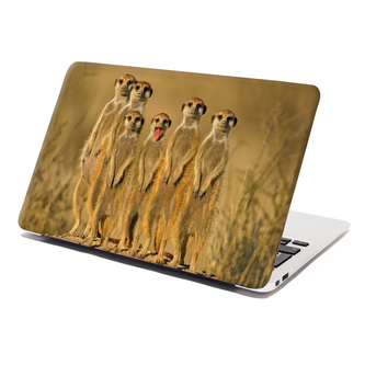 Samolepka na notebook Surikaty: 38x26 cm