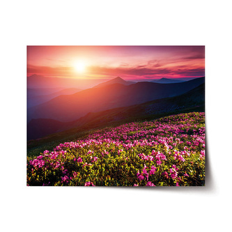 Plakát Rozkvetlá příroda: 120x80 cm