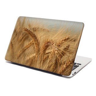 Samolepka na notebook Klasy 2: 38x26 cm