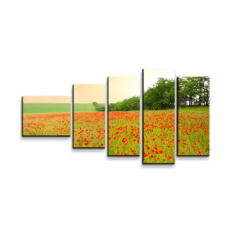 Obraz - 5-dílný Pole vlčích máků: 100x60 cm