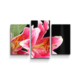 Obraz - 3-dílný Lilie: 75x50 cm