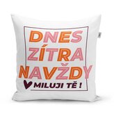 Polštář Dnes, zítra, navždy: 40x40 cm
