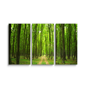 Obraz - 3-dílný Cesta v lese: 120x80 cm Obraz - 3-dílný Cesta v lese: 120x80 cm