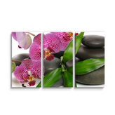 Obraz - 3-dílný Orchideje a kameny: 120x80 cm