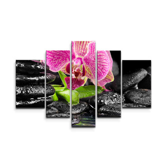 Obraz - 5-dílný Orchidej na kamenech: 125x90 cm