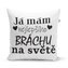 Polštář Já mám nejlepšího bráchu na světě: 40x40 cm