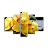 Obraz - 5-dílný Žluté orchideje: 125x90 cm