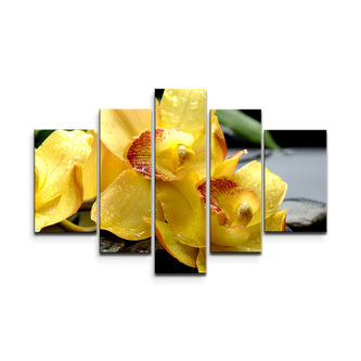 Obraz - 5-dílný Žluté orchideje: 125x90 cm