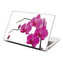 Samolepka na notebook Fialové orchideje: 38x26 cm