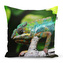 Polštář Chameleon: 50x50 cm