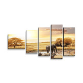 Obraz - 5-dílný Safari: 100x60 cm