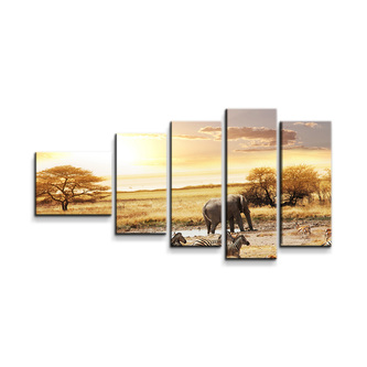 Obraz - 5-dílný Safari: 100x60 cm
