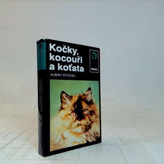 Kočky,kocouři a koťata