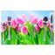 Prostírání Růžové tulipány: 40x30cm