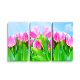 Obraz - 3-dílný Růžové tulipány: 120x80 cm