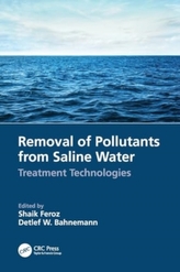 Removal of Pollutants from Saline Water