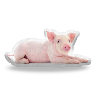3D polštář ve tvaru Prase