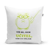 Polštář Věř mi, jsem učitel vím co dělám: 40x40 cm