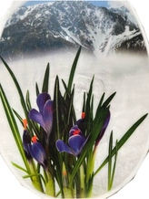 WC deska krokus