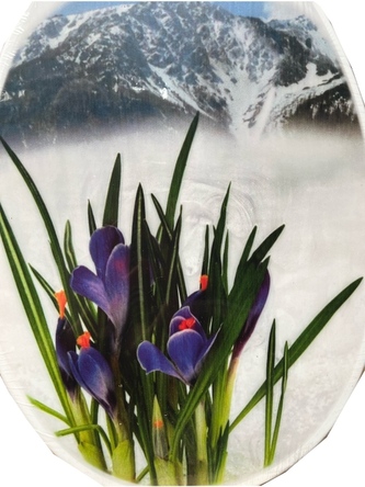 WC deska krokus