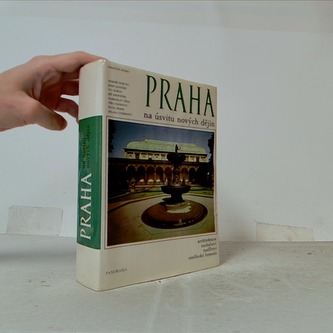 Praha na úsvitu nových dějin