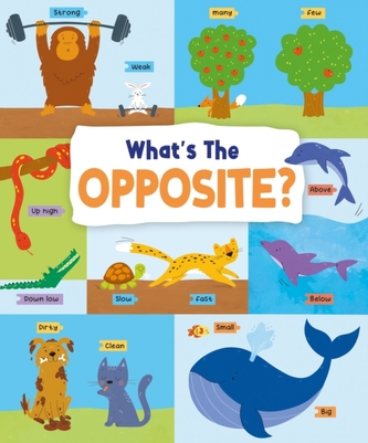 What's the Opposite?