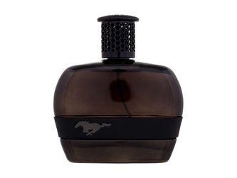 Ford Mustang Mustang Toaletní voda Black 100 ml pro muže