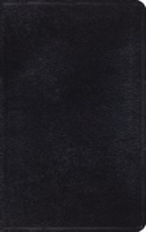 ESV Thinline Bible