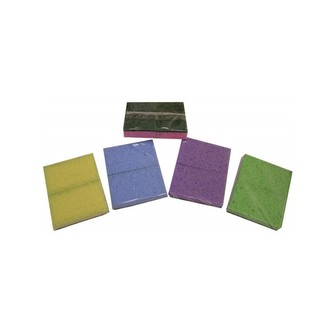 Houba celulózová na mytí nádobí 2 ks