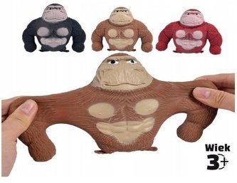 Goryl rozciągliwy gniot mix Goryl rozciągliwy gniot mix