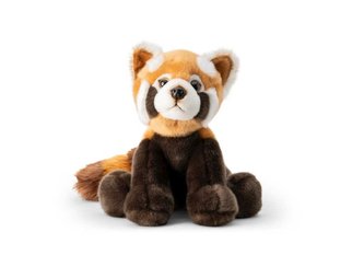 Czerwona Panda Czerwona Panda
