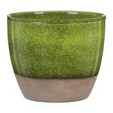 Obal 920 Flora 19