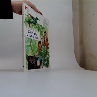 Zvířáta v pralese