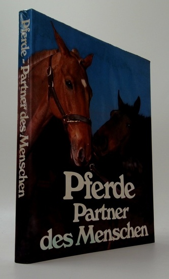 Pferde Partner des Menschen
