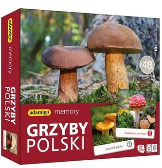Gra Memory - Grzyby Polski