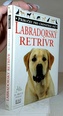 Labradorský retrívr