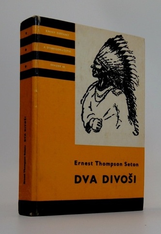 Dva divoši