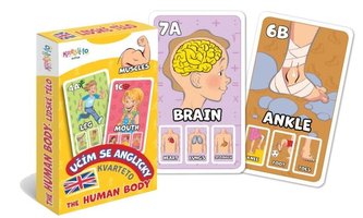 Kvarteto Učím se anglicky  - The Human Body
