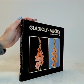 Gladioly -Mečíky