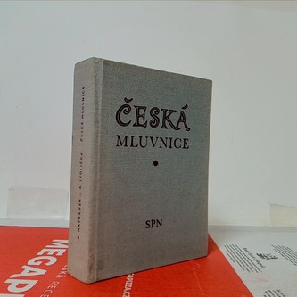 Česká mluvnice