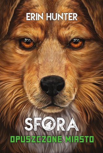 Opuszczone miasto. Sfora tom 1