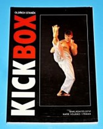 Kick-box kopy v ringu